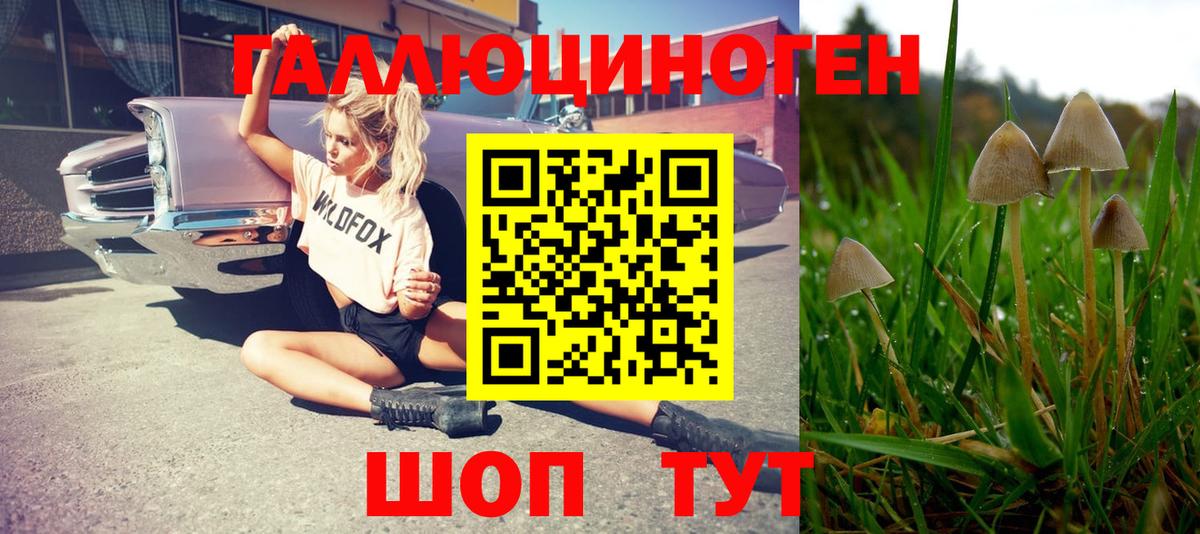 Галлюциногенные грибы MAGIC MUSHROOMS Чистополь