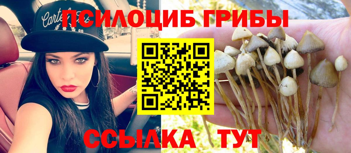 Чистополь  Псилоцибиновые грибы GOLDEN TEACHER  Галлюциногенные грибы Psilocybine cubensis  наркошоп  Вход с VPN 